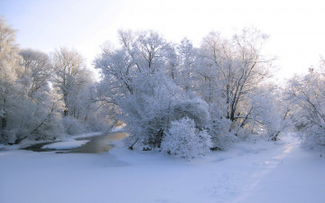 Картинка природа зима деревья снег вода