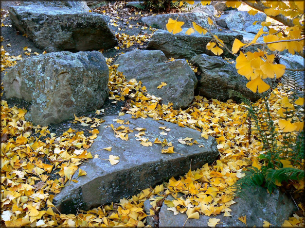 Обои картинки фото природа, камни, минералы, осень