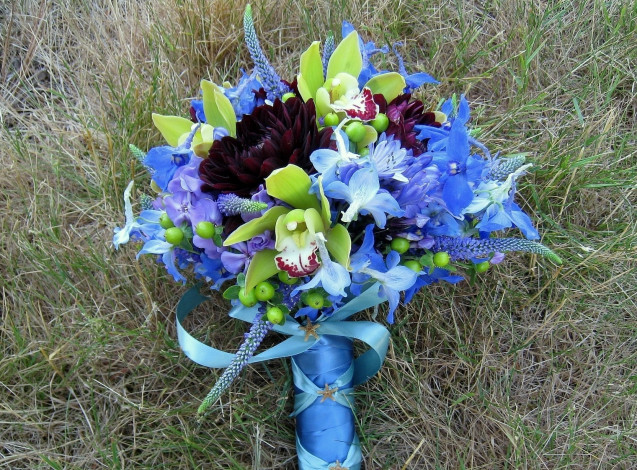 Обои картинки фото цветы, букеты, композиции, флоксы, голубой, орхидеи, георгины