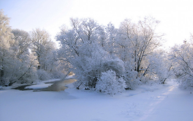 Обои картинки фото природа, зима, деревья, снег, вода