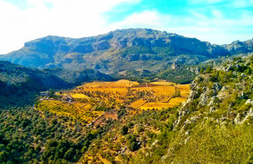 Картинка балеарские ва природа горы ложбина растительность панорама