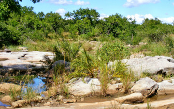 Картинка южная африка квазулу натал природа тропики лес трава камни вода