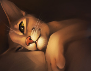 Картинка gaudibuendia рисованное животные +коты ушки усы взгляд кот кошка