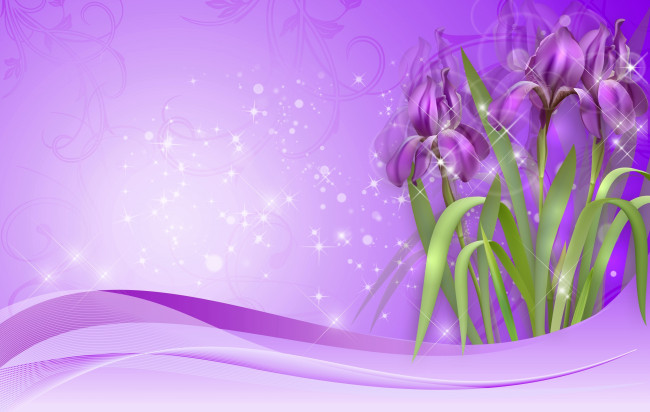 Обои картинки фото векторная графика, цветы , flowers, рисунок, фиолетовый, ирисы