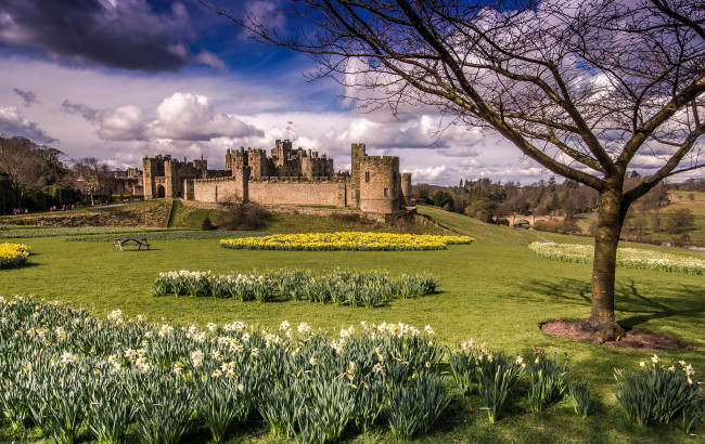 Обои картинки фото alnwick castle, города, - дворцы,  замки,  крепости, замок