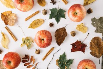 Картинка еда Яблоки яблоко осень плоды желуди листья