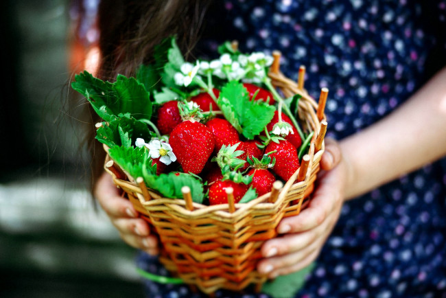 Обои картинки фото еда, клубника,  земляника, корзинка, ягоды, листья