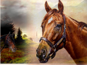 Картинка все лошадях рисованные животные лошади