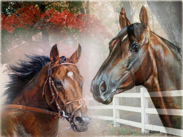 Обои картинки фото все, лошадях, рисованные, животные, лошади
