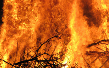 Картинка природа огонь пожар деревья костер