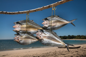 Картинка еда рыба морепродукты суши роллы вяление тушки
