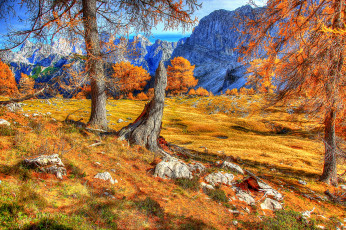 Картинка словения краньска гора природа горы осень деревья