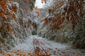 обоя природа, дороги, октябрь, осень, листья, деревья, дорога, снег