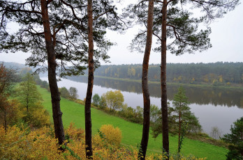 Картинка литва бирштонас природа реки озера побережье деревья река