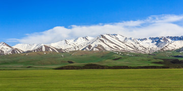 Картинка природа пейзажи кыргызстан облака трава небо Чуйская сосновка снег горы поле