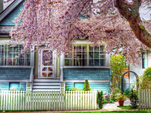 Картинка города -+здания +дома цветение дерево забор дом весна