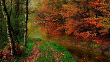 Картинка природа реки озера листопад осень