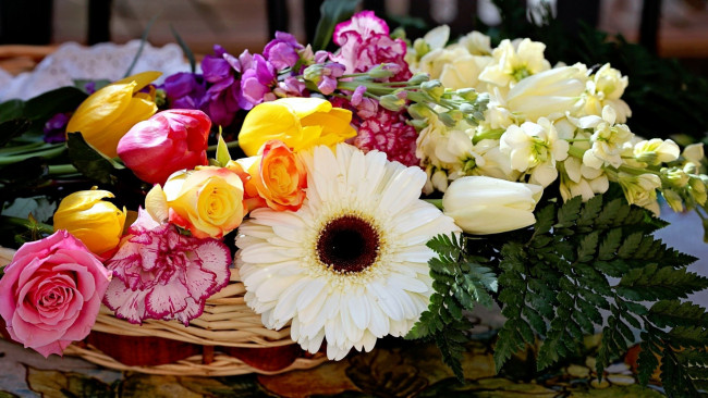 Обои картинки фото цветы, разные вместе, гербера, гвоздика, розы, тюльпаны