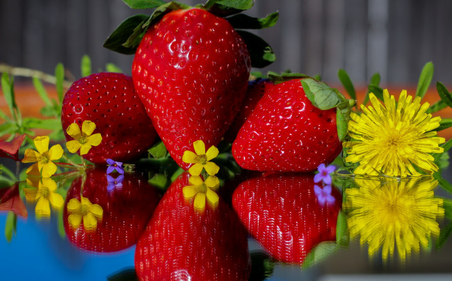 Обои картинки фото еда, клубника,  земляника, одуванчик, ягоды, цветы, листья