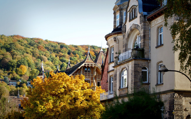 Обои картинки фото города, гейдельберг , германия, деревья, дом, осень