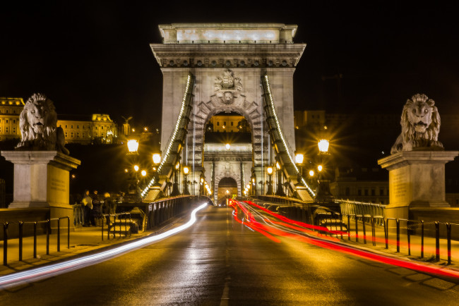 Обои картинки фото chain bridge in budapest, города, будапешт , венгрия, мост, река, огни, ночь