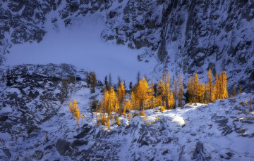 Картинка природа зима снег горы деревья
