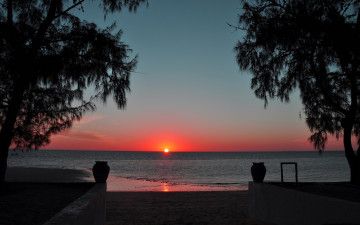 Картинка природа восходы закаты закат море берег вазы деревья