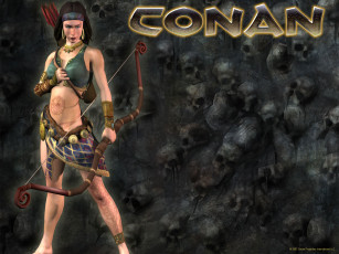 Картинка видео игры conan