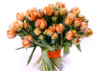 Картинка цветы тюльпаны много оранжевый