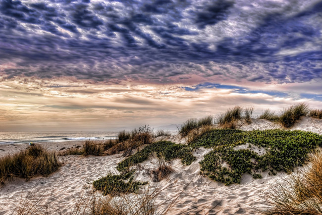 Обои картинки фото природа, побережье, трава, песок, вода, небо, тучи, ветер