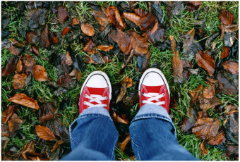 Картинка red chucks разное одежда обувь текстиль экипировка кроссовки джинсы осень листья ноги