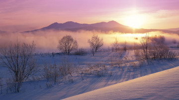 Картинка природа зима рассвет деревья горы снег