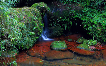 Картинка природа реки озера зелень ручей камни