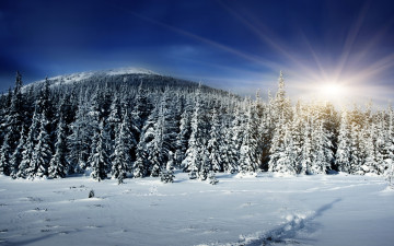 Картинка природа зима солнце лес зила снег