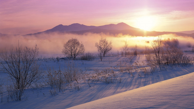 Обои картинки фото природа, зима, рассвет, деревья, горы, снег