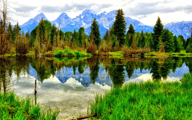 Обои картинки фото природа, реки, озера, лес, озеро, трава, отражение, горы