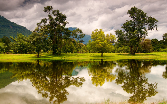 Обои картинки фото природа, реки, озера, река, деревья, отражение