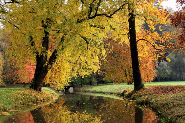 Обои картинки фото Чехия, pruhonice, природа, парк, река, мост, осень