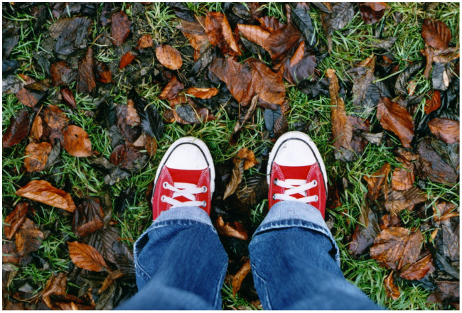 Обои картинки фото red, chucks, разное, одежда, обувь, текстиль, экипировка, кроссовки, джинсы, осень, листья, ноги