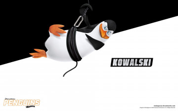 обоя kowalski, мультфильмы, the penguins of madagascar, мадагаскар, пингвины