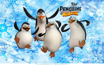 обоя мультфильмы, the penguins of madagascar, пингвины, мадагаскар