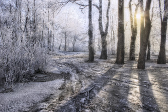 Картинка природа зима sun snow winter солнце снег дорога