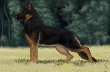 Картинка рисованное животные +собаки лес взгляд собака фон