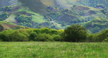 Картинка природа луга холмы трава горы дом поле деревья солнце