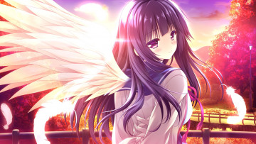 Картинка аниме ангелы +демоны yorite konoha wa kurenai ni