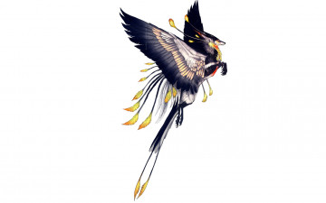 Картинка рисованное животные +сказочные +мифические перья когти зверь хвост крылья