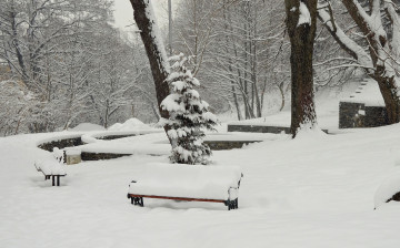 Картинка природа зима снег деревья скамейки парк