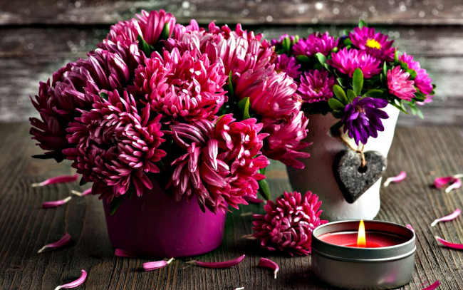Обои картинки фото цветы, хризантемы, букет, свеча