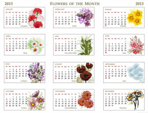 обоя календари, рисованные, векторная, графика, цветы