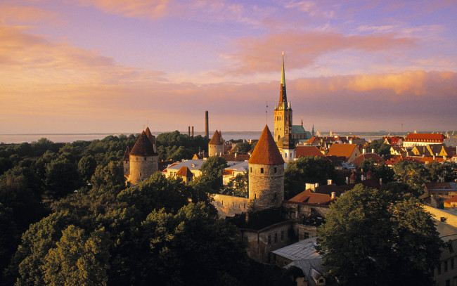 Обои картинки фото города, таллин, эстония, город, деревья, замок, небо